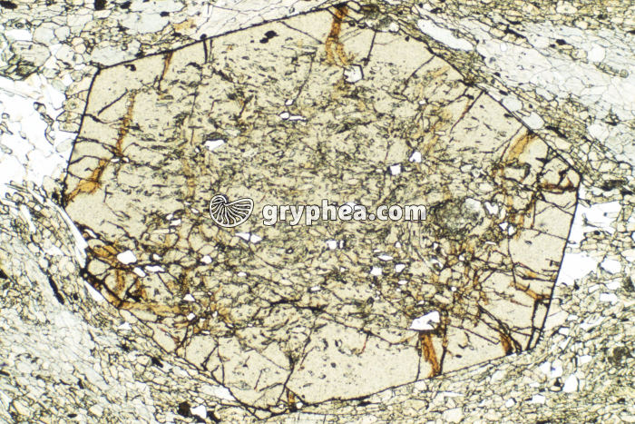 Grenat LPNA x10 - gryphea.com